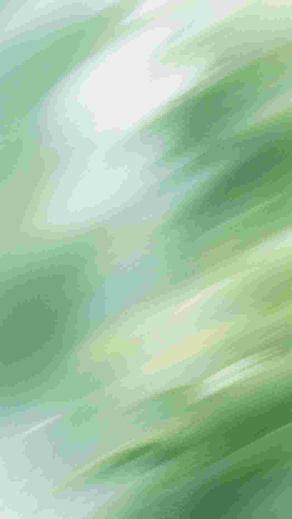 最新免费小说风雪散尽等花开(小朵裴钰衍)_风雪散尽等花开(小朵裴钰衍)小说全文免费阅读